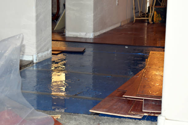 Professional Water Damage Restoration technician working in Lawton, MI